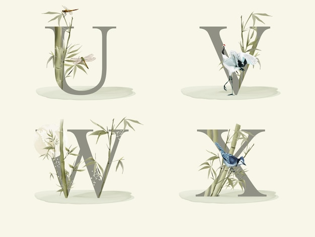 Vector alphabet with bamboo hand drawn isolated