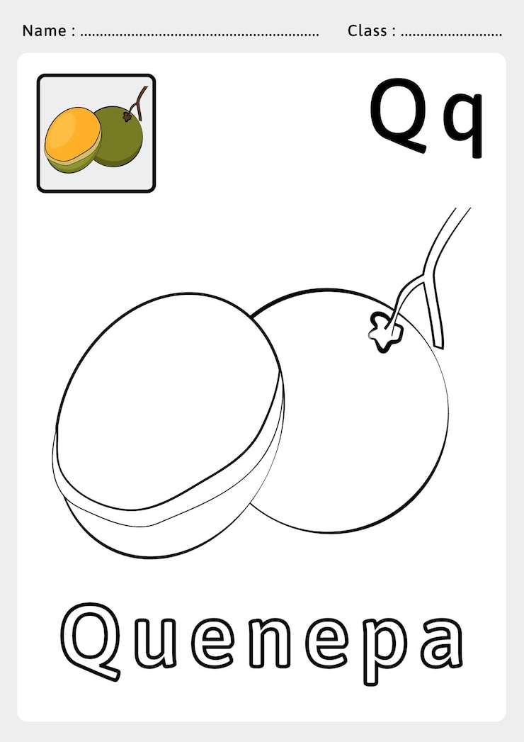 Vector アルファベット a から z までの塗り絵 - 子供向けのエクササイズ。アルファベット q. ベクター アートのクエネパのぬりえ