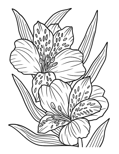 Alstroemeria bloem kleurplaat voor volwassenen