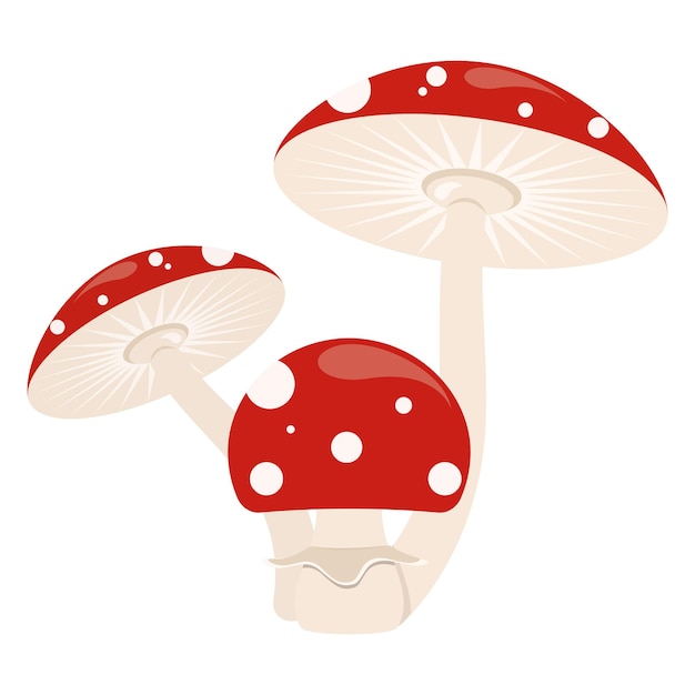 Amanita Muscaria Magic Toadstool Paddestoel vector afbeelding afbeelding