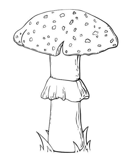 잔디 낙서 선형 색칠에 Amanita 버섯
