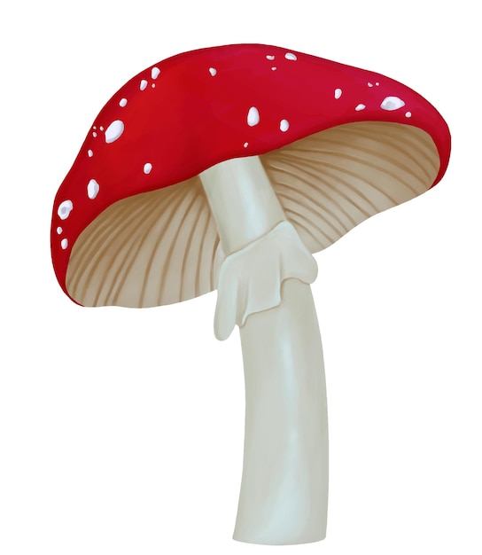 Amanita op een beenpaddenstoel met een rode dop en witte vlekken