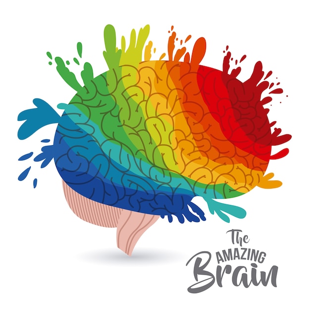 The amazing brain isolated vector illustration design