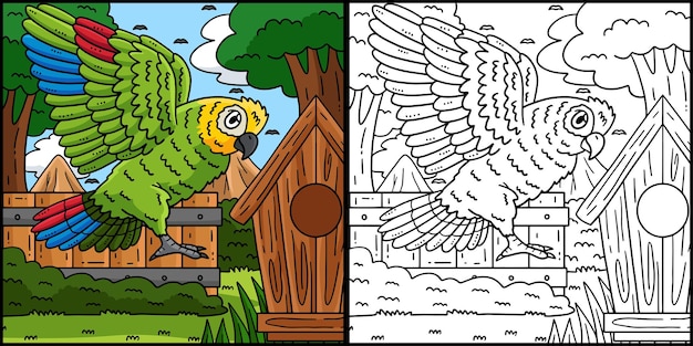 amazon parrot bird coloring page illustration