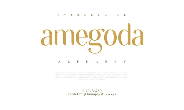 Amegoda premium luxe elegante alfabetletters en cijfers Elegante bruilofttypografie klassieke serif