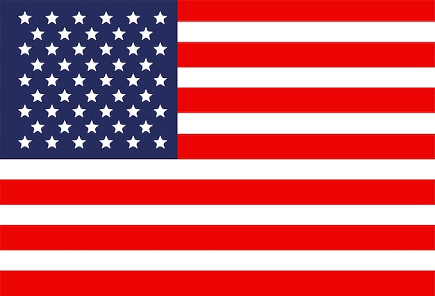 Vector america flag