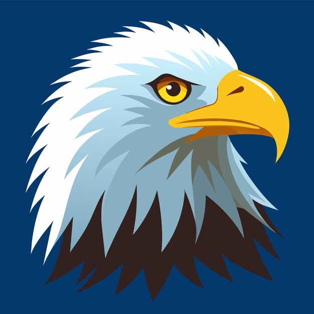 american bald eagle