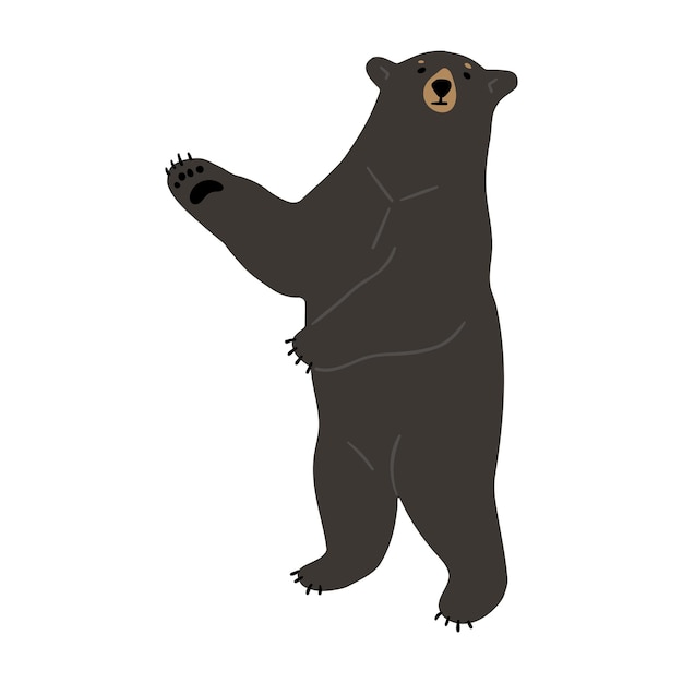 Vector american black bear single 32