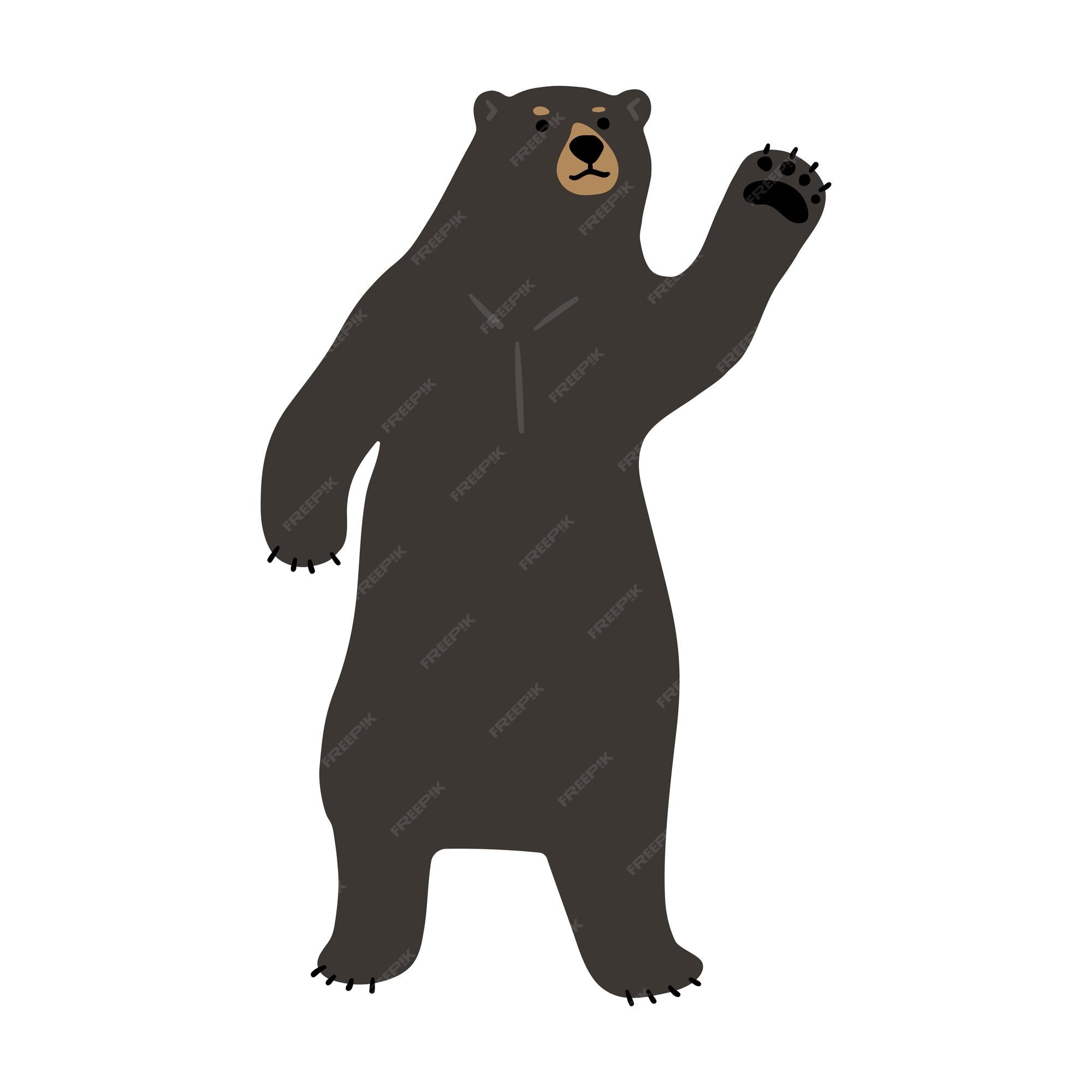 Premium Vector | American black bear single 8