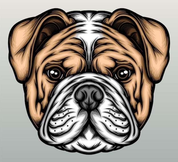 Illustrazione del bulldog americano.