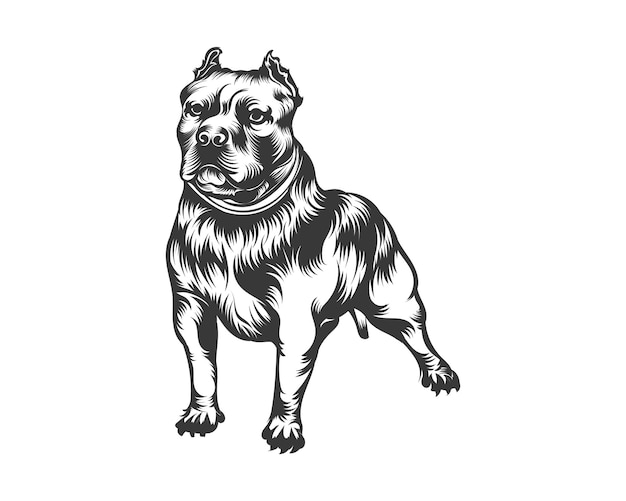 Vettore illustrazione vettoriale del cane bullo americano, vettore del cane bullo nero su sfondo bianco