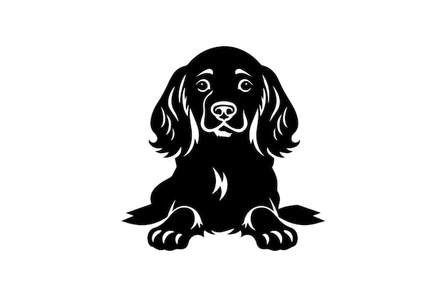 American Cocker Spaniel icon