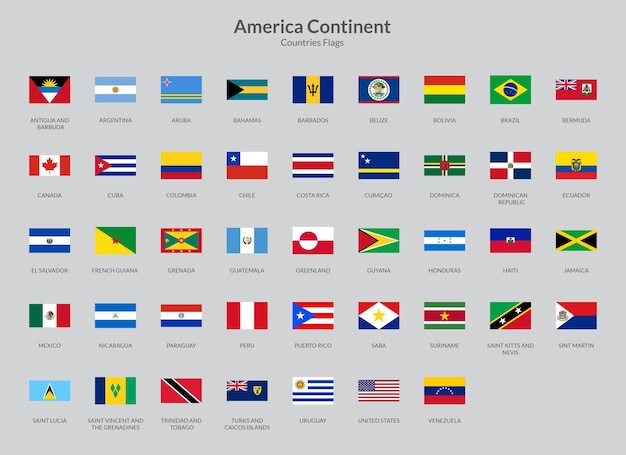 Vector american continent rectangle flag icon