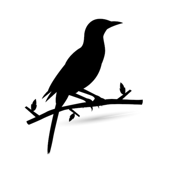 Vector american crow vector advertising fauna silhouette