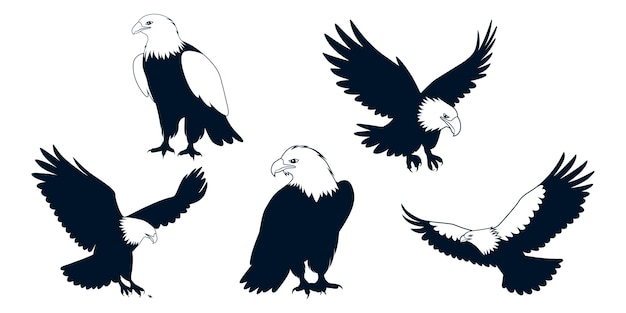 Vector american eagle bird silhouettes vector art