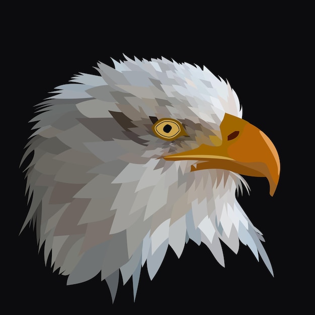 American eagle head