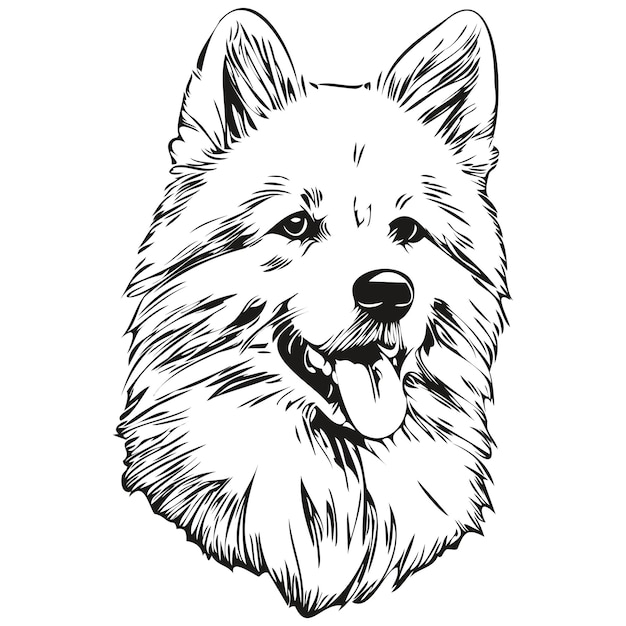 american eskimo dog t shirt print black and white cute funny outline drawing vector realistic breed pet