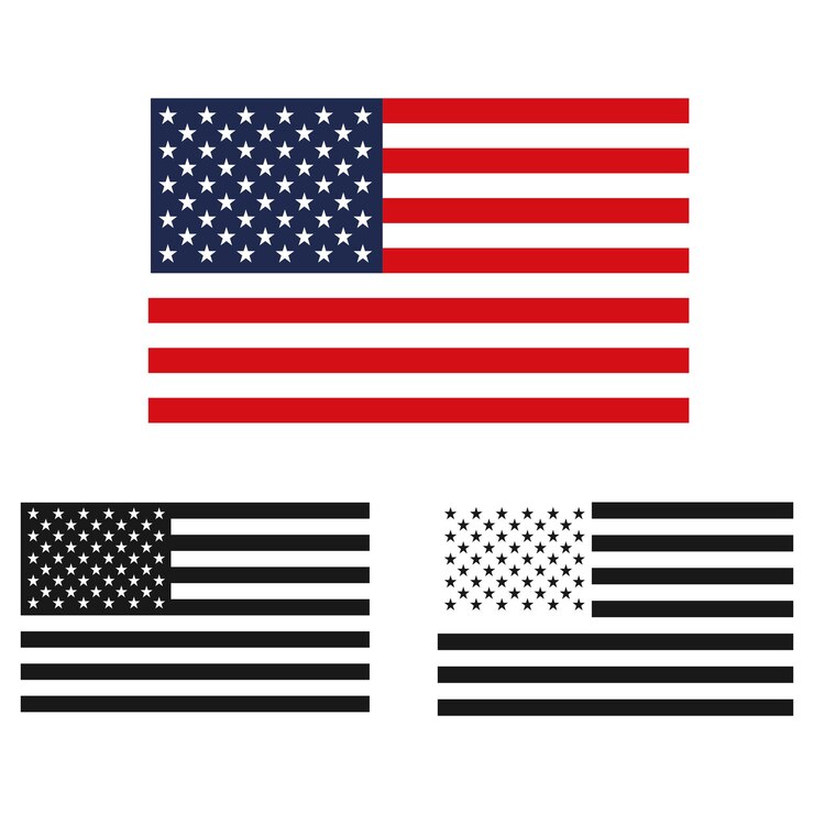 Vector american flag