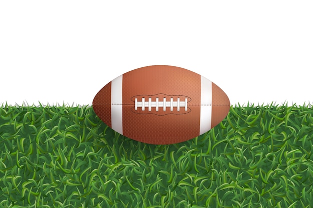 American football ball on green grass.