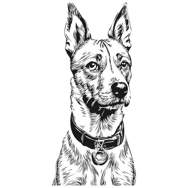 Premium Vector | American hairless terrier dog ink sketch drawing ...