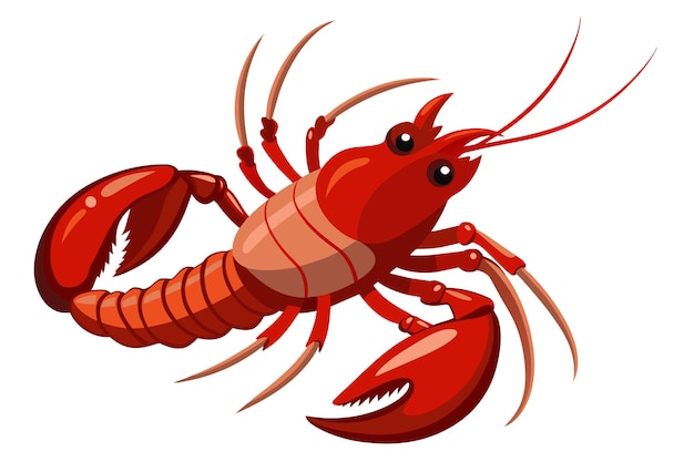 american lobster vector