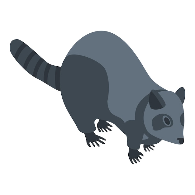 American raccoon icon isometric of american raccoon vector icon for web design isolated on white background