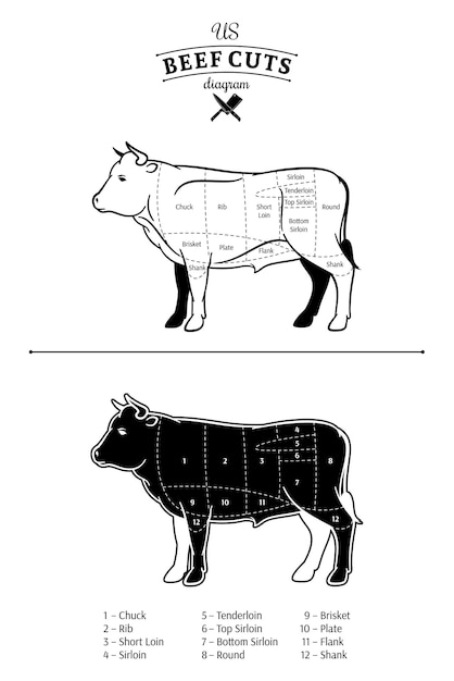 Vettore diagramma dei tagli di carne di manzo statunitense