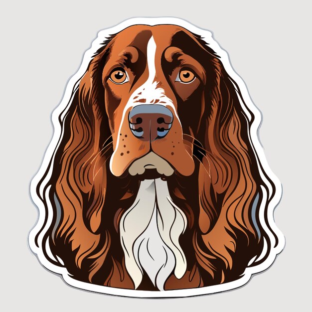 Vector american water spaniel sticker