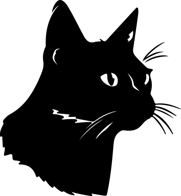 American Wirehair Cat black silhouette with transparent background