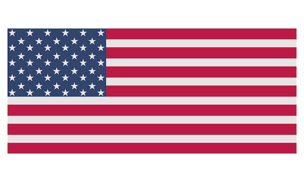 Amerikaanse vlag handgemaakte kalligrafie vector illustratie