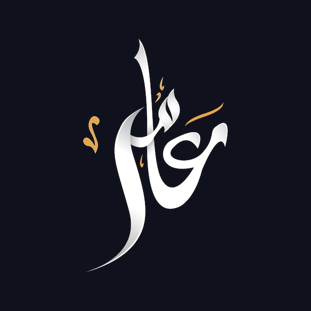 Vector amir in arabic calligraphy