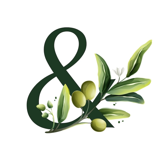 Ampersand logo in watercolor style with olive branches illustration of berries and green leaves
