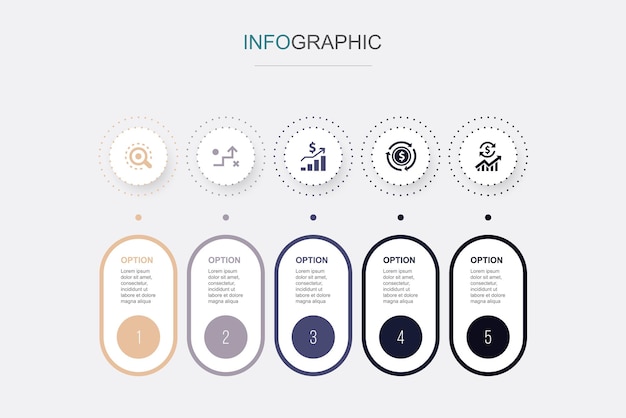 Vector analysis strategy profit income economy icons infographic timeline layout design template creative presentation concept with 5 steps