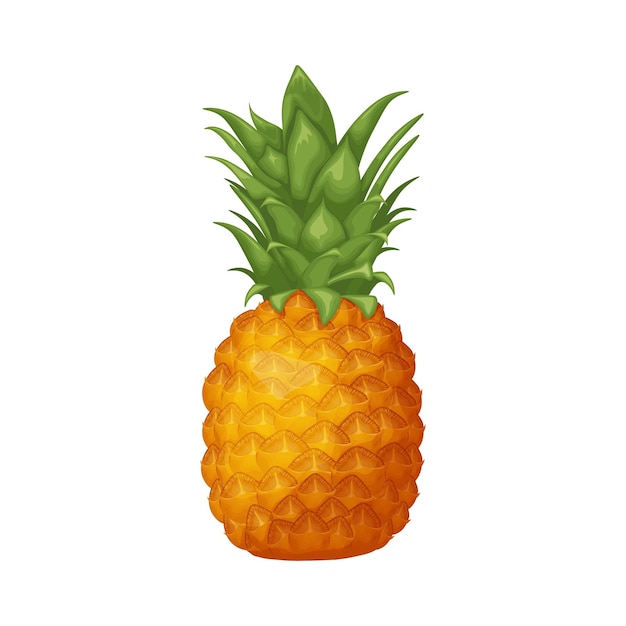 Ananas Afbeelding van een rijpe ananas Sappig tropisch fruit Vectorillustratie geïsoleerd op een witte achtergrond