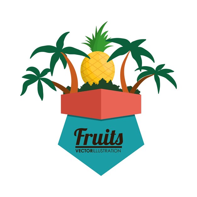 Vector ananas fruit en zomer concept