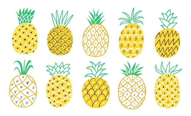 Ananas fruit vector hand getekende set