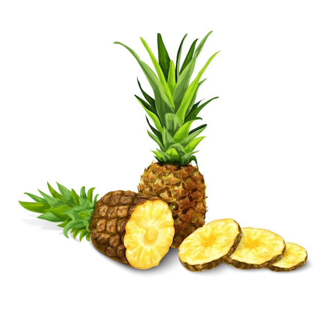 Ananas geïsoleerde illustratie