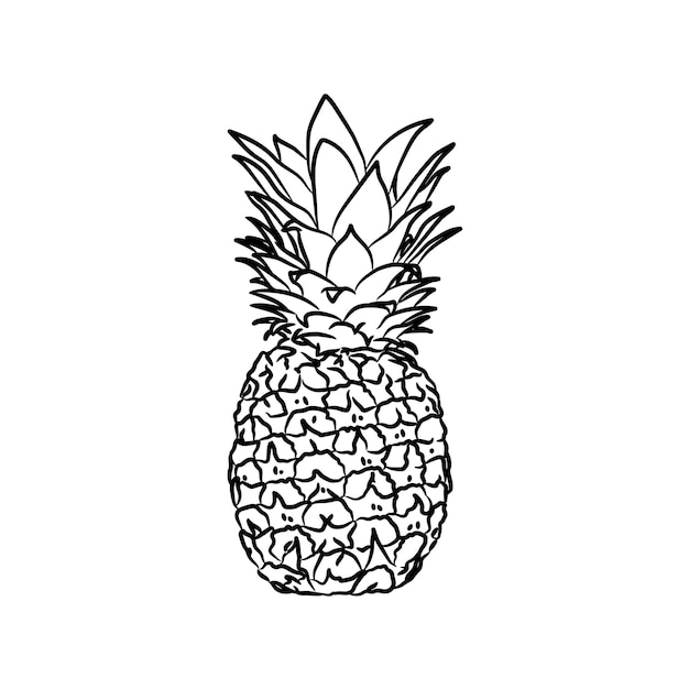 Ananas illustratie in zwart geïsoleerd op witte backgroundIllustration in inkt handgetekende stijl