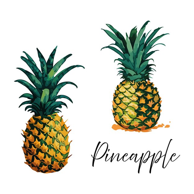 Vector ananas in waterverf stijl