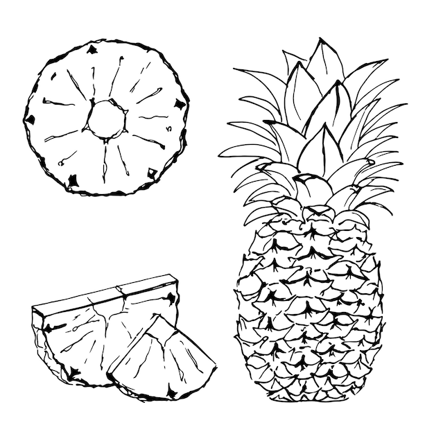 Ananas zwart-wit vector set geïsoleerd op een witte achtergrond