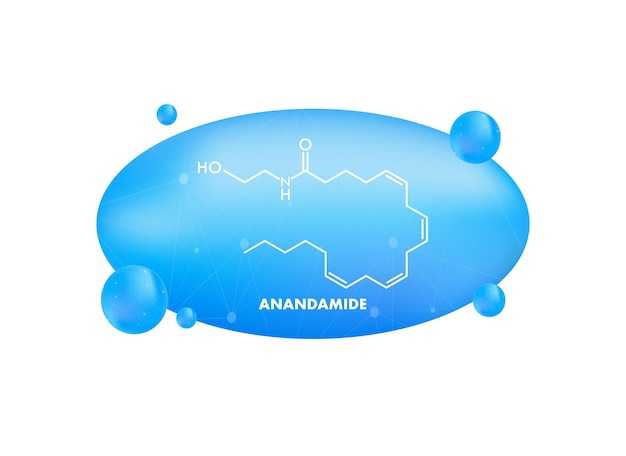 Anandamide 개념 화학식 아이콘 레이블 텍스트 글꼴 벡터 일러스트 레이 션