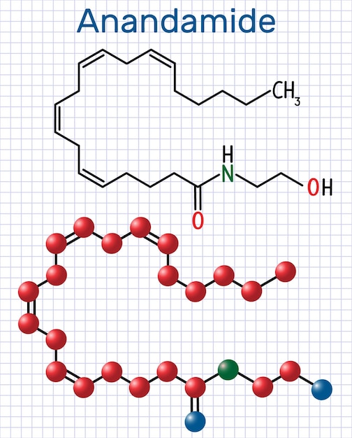 Anandamide molecuul endogene cannabinoïde neurotransmitter Structurele formule molecuulmodel