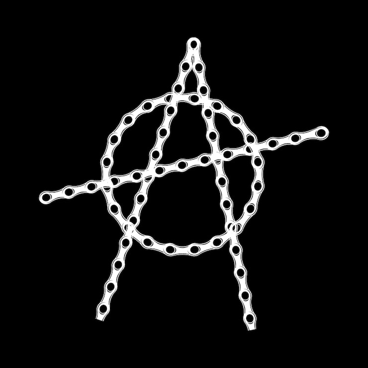 Вектор анархия logocdr