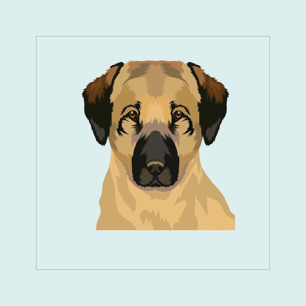 Anatolian Shepherd Dog head illustration vector