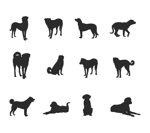 Anatolian shepherd dog silhouettes 