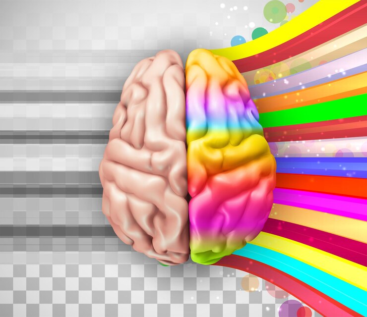 Vector anatomical human brain, mesh vector, scientific article design and medical booklet