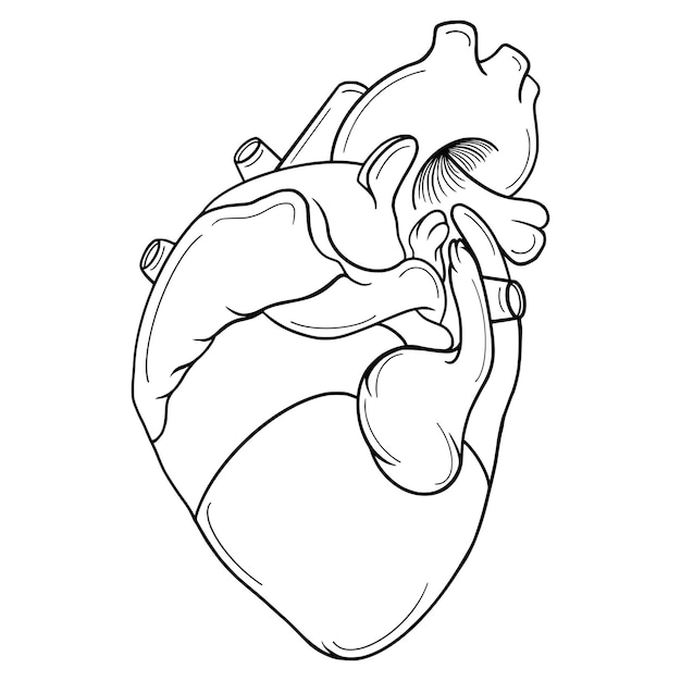 anatomical human heart with adhesive bandage patch plaster sketch engraving raster illustration