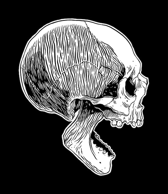 Illustrazione disegnata a mano di vettore del cranio umano anatomico