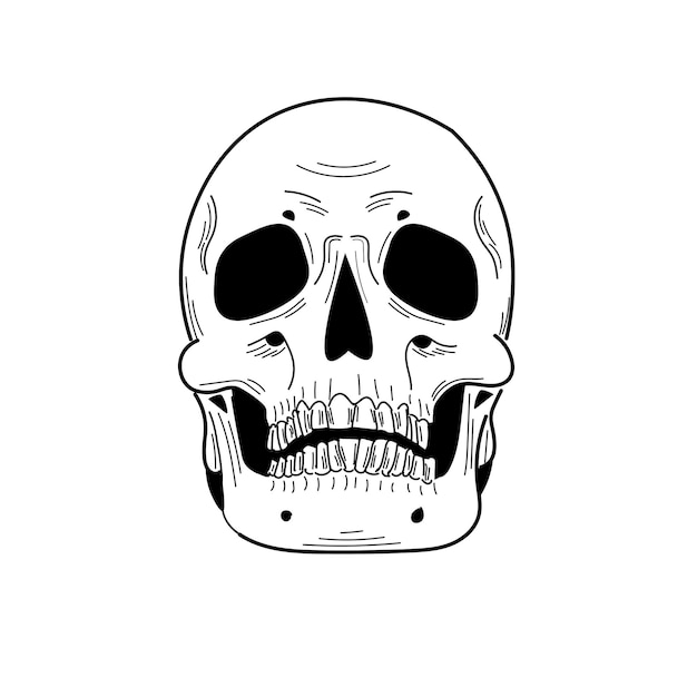 Anatomie menselijke schedel vooraanzicht