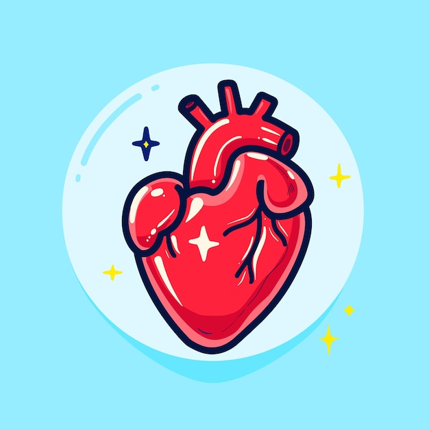 Vector anatomische tekening van menselijke hartorganen, platte vectorillustratie